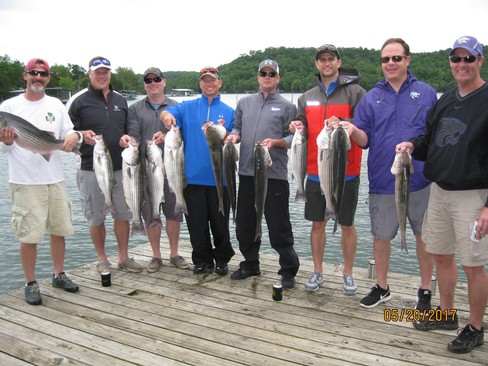 Nice Striped Bass